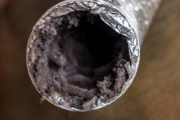 Best Air Duct Sanitizing Services  in Sibley, IA